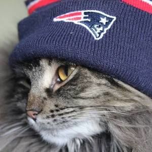 Meet your Posher, Janine